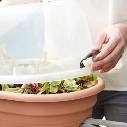 Elho Green Basics Flower Bridge Grow House 55cm 11 Elho Green Basics Flower Bridge Grow House 55cm -Garden Essentials Shop 1024663 4