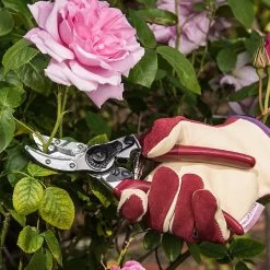 Kent & Stowe Rose Cut & Hold Secateurs -Garden Essentials Shop 1031091 2