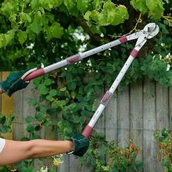 Kent & Stowe Telescopic Geared Anvil Loppers 7 Kent & Stowe Telescopic Geared Anvil Loppers -Garden Essentials Shop 1031097 2