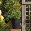 Stewart Garden 40cm Basalt Low Round Planter - Black -Garden Essentials Shop 1115429