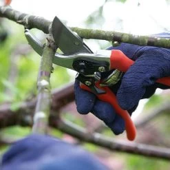 Wilkinson Sword Folding Pruner Saw & Pruner Set -Garden Essentials Shop 1140375 2