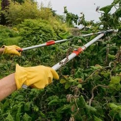 Garden Essentials Shop -Garden Essentials Shop 1140386 1