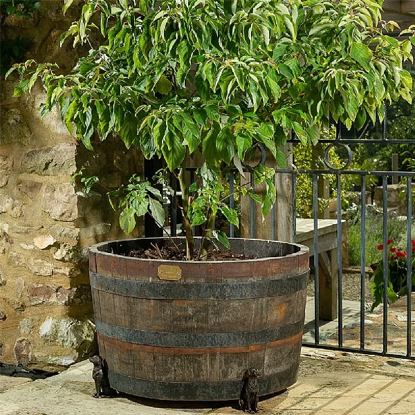 Jardinopia Plant Pot Feet Bronze Labrador - Set Of 3 5 Jardinopia Plant Pot Feet Bronze Labrador - Set Of 3 - Image 3