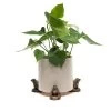Jardinopia Plant Pot Feet Bronze Frog - Set Of 3 1 Jardinopia Plant Pot Feet Bronze Frog - Set Of 3 -Garden Essentials Shop 1177294