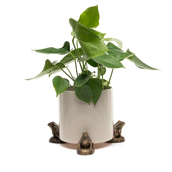 Jardinopia Plant Pot Feet Bronze Frog - Set Of 3 3 Jardinopia Plant Pot Feet Bronze Frog - Set Of 3