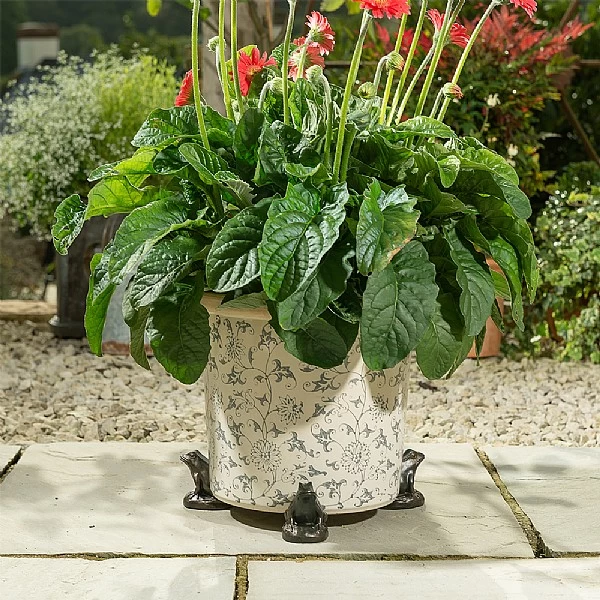Jardinopia Plant Pot Feet Bronze Frog - Set Of 3 6 Jardinopia Plant Pot Feet Bronze Frog - Set Of 3 - Image 4