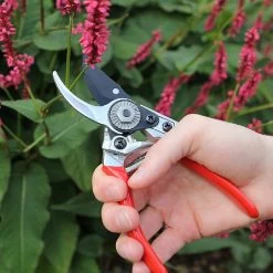 Darlac Small Bypass Pruner -Garden Essentials Shop 1202088 3