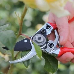 Darlac Small Bypass Pruner -Garden Essentials Shop 1202088 4