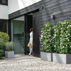 Elho Vivo Next Square Planter 30cm Living Concrete -Garden Essentials Shop 1230754 2