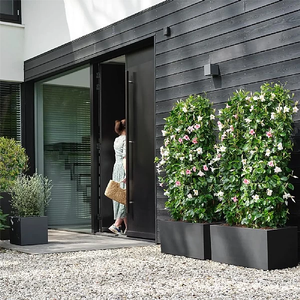 Elho Vivo Next Square Planter 30cm Living Black 4 Elho Vivo Next Square Planter 30cm Living Black - Image 2