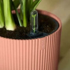 Elho Vibes Fold Round Planter 22cm Delicate Pink 10 Elho Vibes Fold Round Planter 22cm Delicate Pink -Garden Essentials Shop 1230824 3