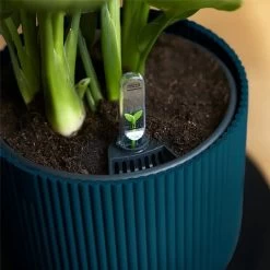 Elho Vibes Fold Round Planter 22cm Deep Blue 9 Elho Vibes Fold Round Planter 22cm Deep Blue -Garden Essentials Shop 1230825 3