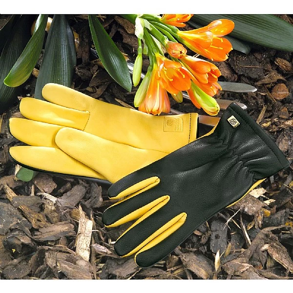 Gold Leaf Ladies Dry Touch Gloves 3 Gold Leaf Ladies Dry Touch Gloves