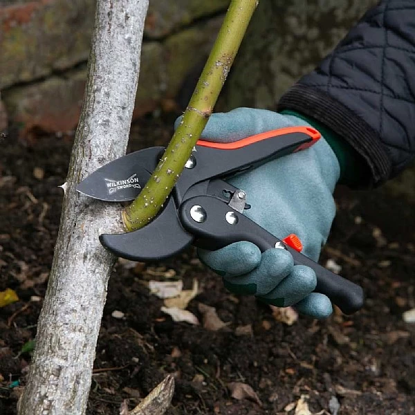 Wilkinson Sword Ratchet Anvil Pruner 4 Wilkinson Sword Ratchet Anvil Pruner - Image 2