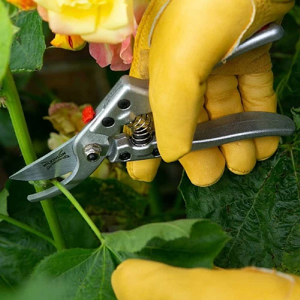 Wilkinson Sword Razorcut Comfort Medium Bypass Pruner 4 Wilkinson Sword Razorcut Comfort Medium Bypass Pruner - Image 2