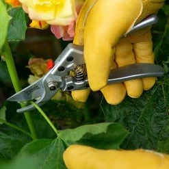 Wilkinson Sword Razorcut Comfort Large Bypass Pruner -Garden Essentials Shop 787074 3