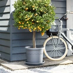 Elho Algarve Cilindro Planter With Wheels 40cm