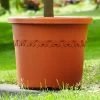 Elho Algarve Cilindro Planter With Wheels 48cm -Garden Essentials Shop ALG CIL WHEEL 48