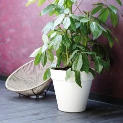 Elho Loft Urban Round Pot With Wheels 40cm - Various Colours