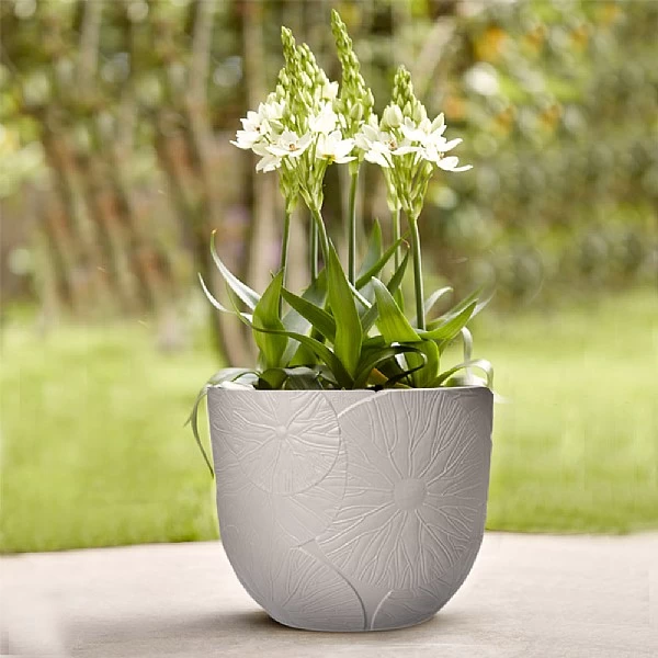 Elho Fuente 47cm Lily Round Planter (Various Colours) 4 Elho Fuente 47cm Lily Round Planter (Various Colours) - Image 2