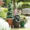 Stewarts Garden Palladian Planter 65cm (Various Colours) 2 Stewarts Garden Palladian Planter 65cm (Various Colours) -Garden Essentials Shop SGPALPLAN65