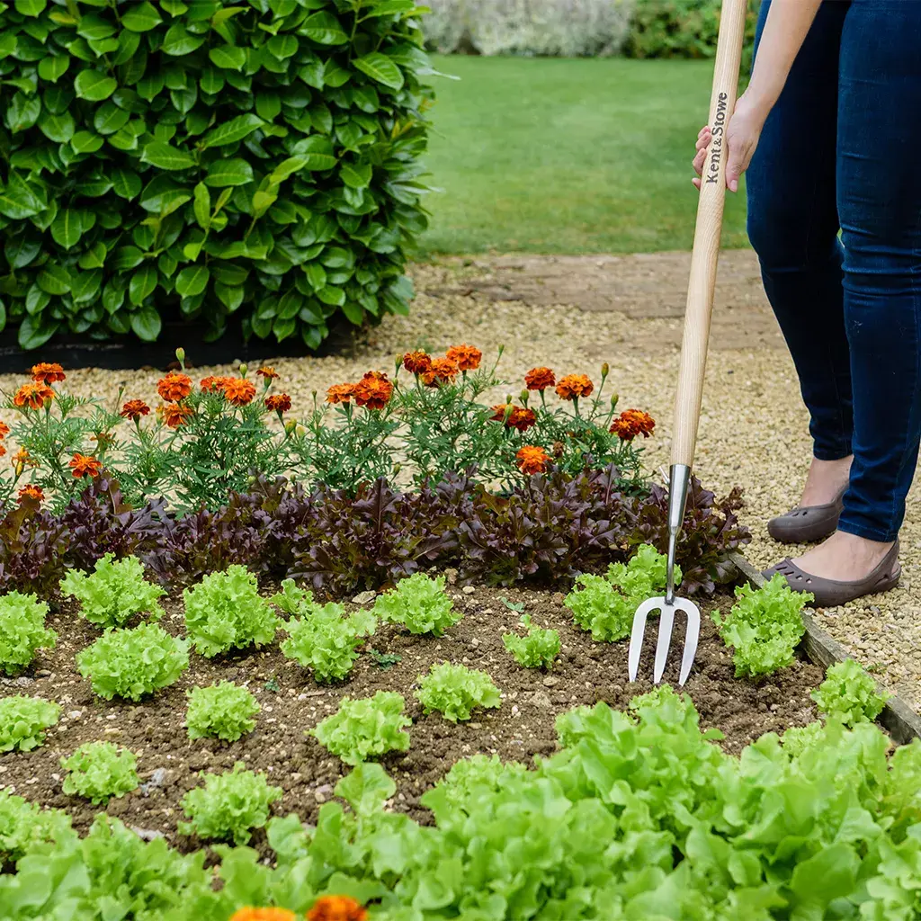 Garden Essentials Shop -Garden Essentials Shop product 1024x1024 65df025db5037 l